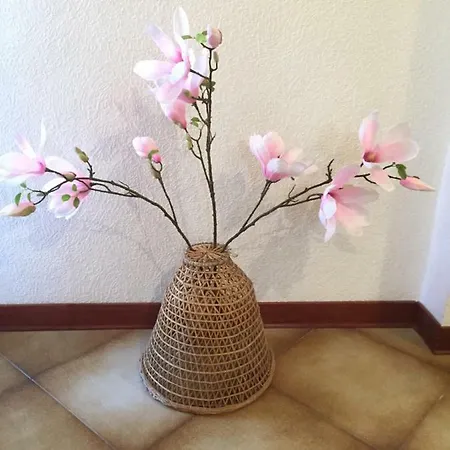La Magnolia Del Conero Appartement *