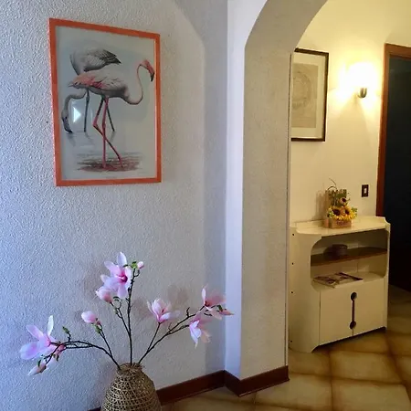 La Magnolia Del Conero *